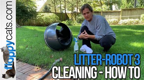 How to clean litter robot. Things To Know About How to clean litter robot. 